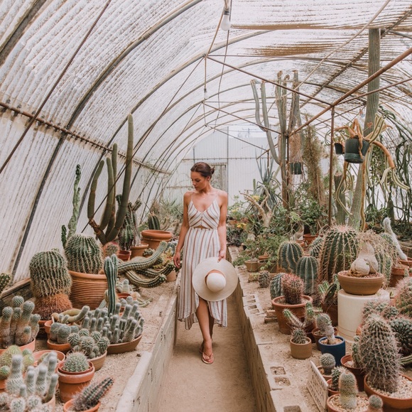 Meet your Posher, Natalya - Picture 3 of 8